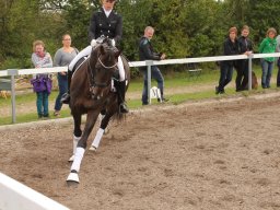 img_9664_web
